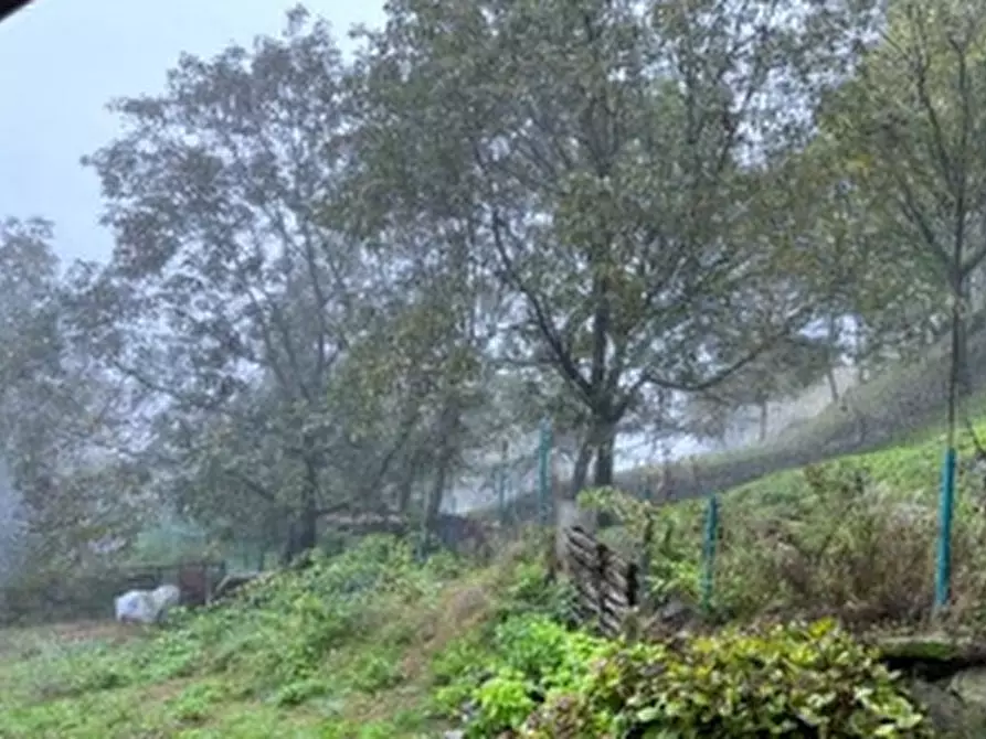 Immagine 1 di Terreno agricolo in vendita  in Località Pian Camuno a Pian Camuno