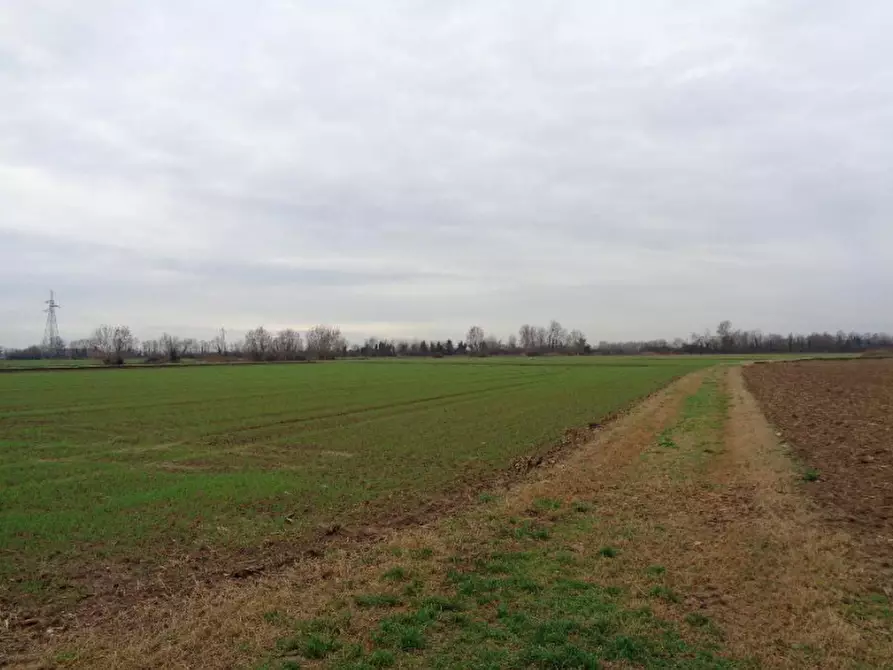 Immagine 1 di Terreno agricolo in vendita  in Frazione Forette a Vigasio