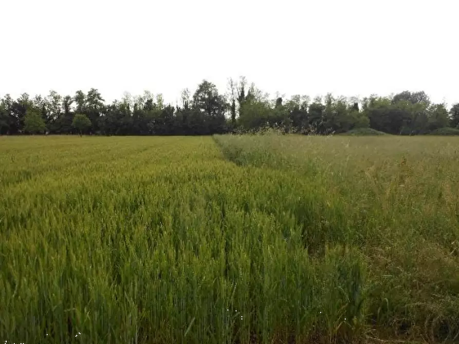 Immagine 1 di Terreno agricolo in vendita  in Via Martiri della Libertà a Santorso