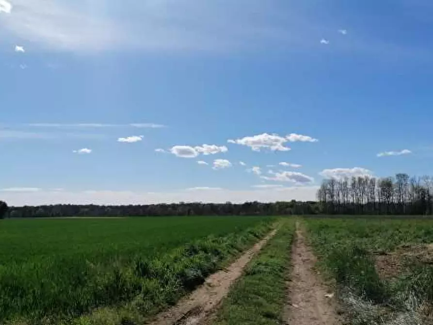 Immagine 1 di Terreno agricolo in vendita  in Località Lurago Marinone  a Lurago Marinone