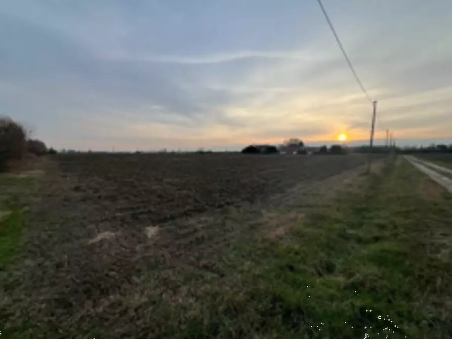 Immagine 1 di Terreno agricolo in vendita  in Via San Michele Carso a Rovigo