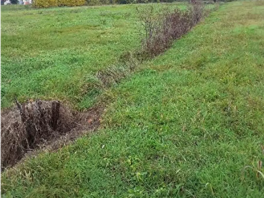 Immagine 1 di Terreno edificabile in vendita  in Località Pievesestina a Cesena