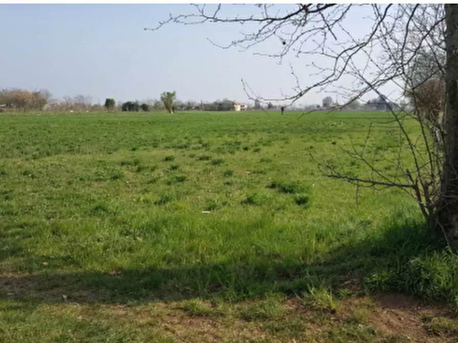 Immagine 1 di Terreno agricolo in vendita  in via Castellana a Trevignano