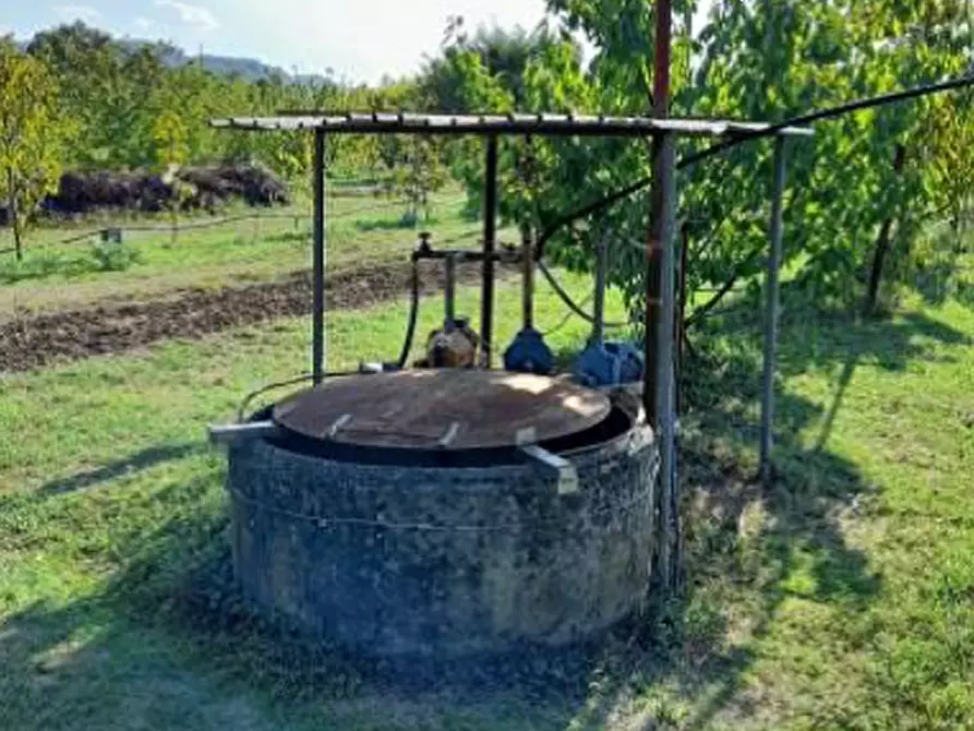 Immagine 1 di Terreno agricolo in vendita  in località Castrocaro Terme e Terra del Sole a Castrocaro Terme E Terra Del Sole