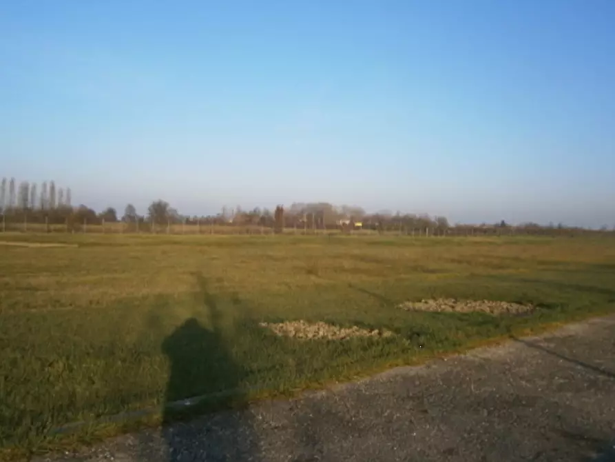 Immagine 1 di Terreno edificabile in vendita  in via La Venezia a San Felice Sul Panaro