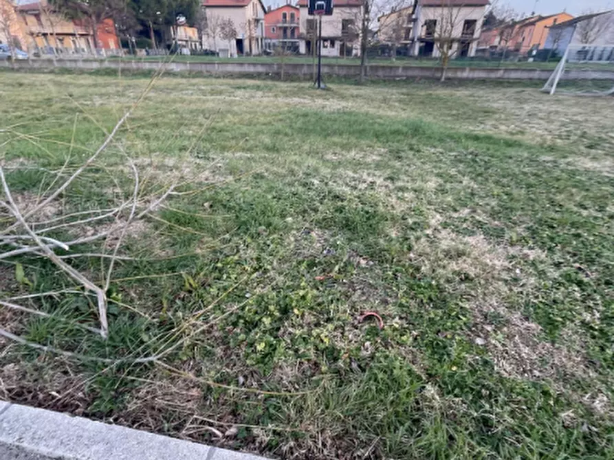 Immagine 1 di Terreno agricolo in vendita  in Via Padrina a Solarolo