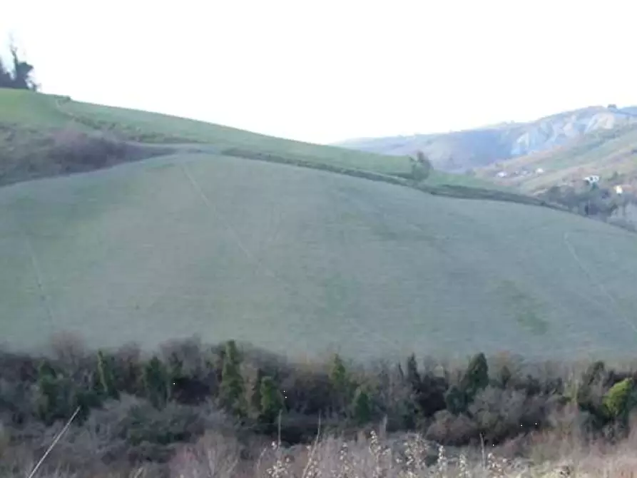 Immagine 1 di Terreno agricolo in vendita  in Via Rio Cozzi a Castrocaro Terme E Terra Del Sole