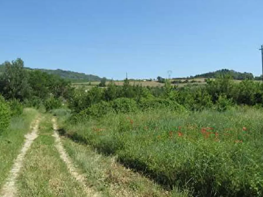 Immagine 1 di Terreno agricolo in vendita  in località Pieve Salutare a Castrocaro Terme E Terra Del Sole