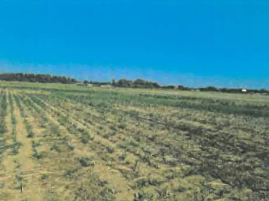 Immagine 1 di Terreno edificabile in vendita  in Via Cantalupo a Cesenatico