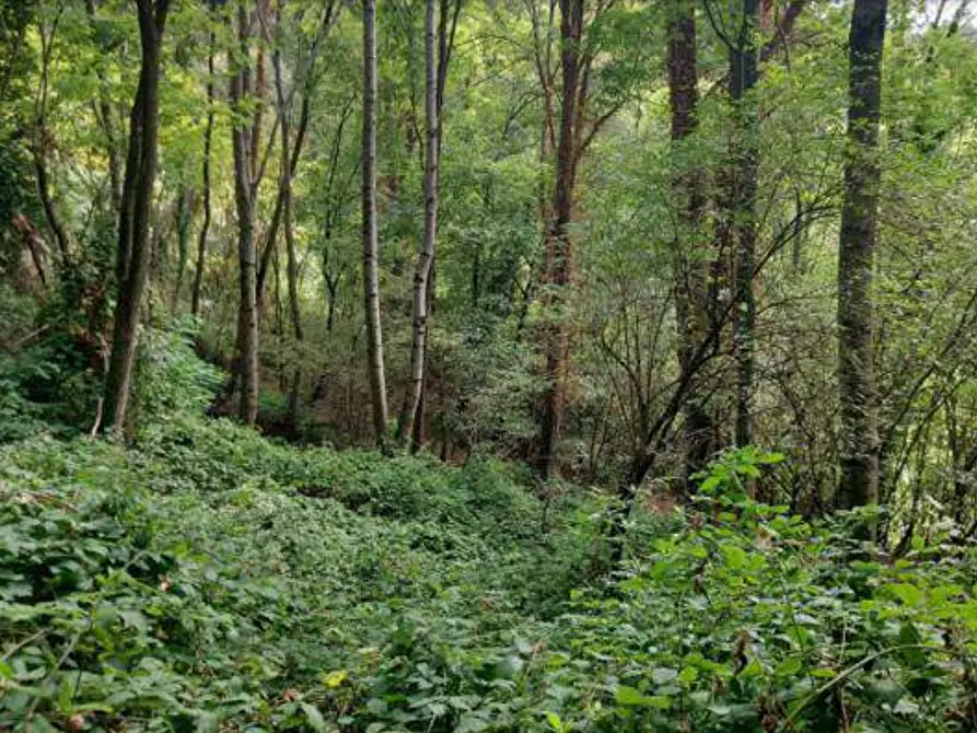 Immagine 1 di Terreno agricolo in vendita  in Via Spersiglio a Pradalunga