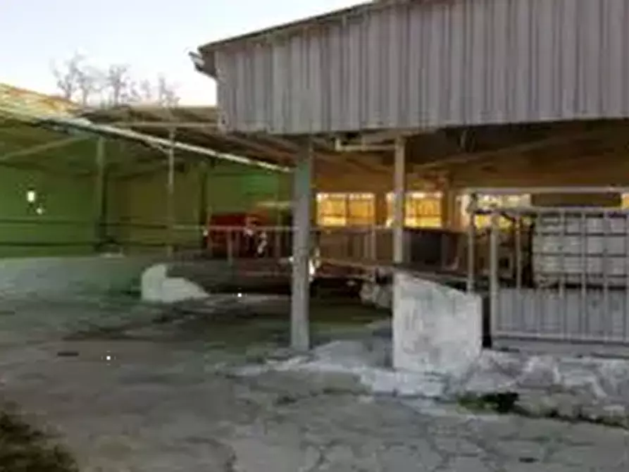 Immagine 1 di Capannone industriale in vendita  in Via Sommavilla a Tombolo