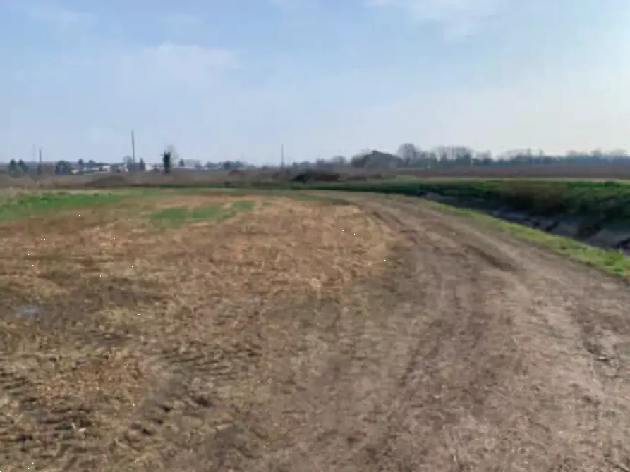 Immagine 1 di Terreno agricolo in vendita  in Via della Giara a Sorga'