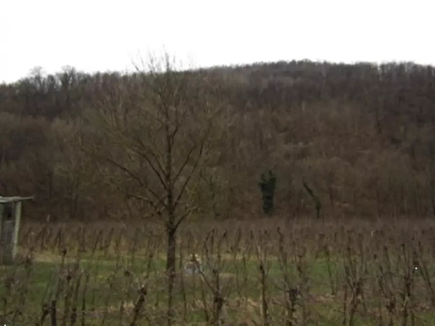 Immagine 1 di Terreno agricolo in vendita  in loc. San Pietro al Natisone a San Pietro Al Natisone