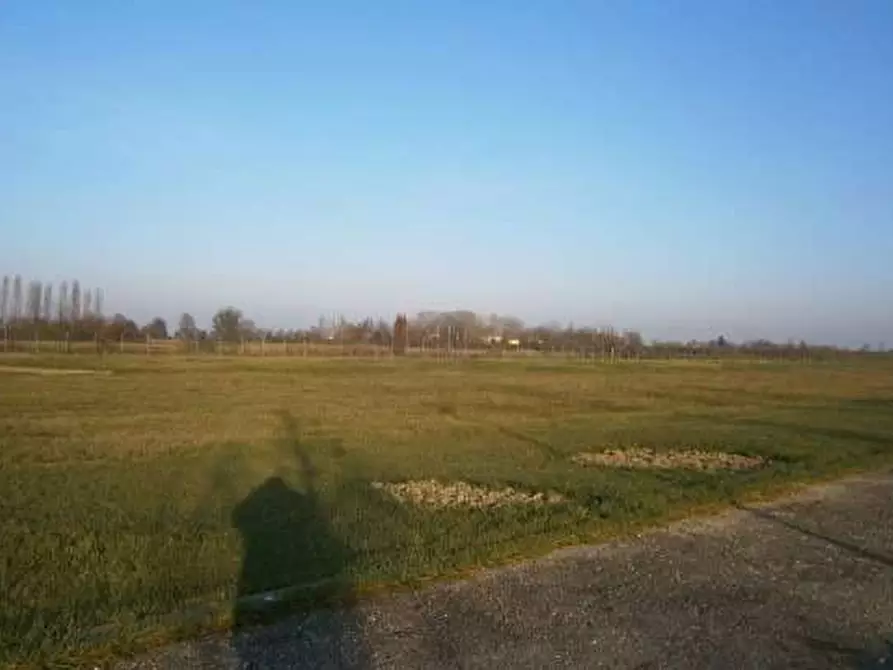 Immagine 1 di Terreno edificabile in vendita  in Via La Venezia a San Felice Sul Panaro