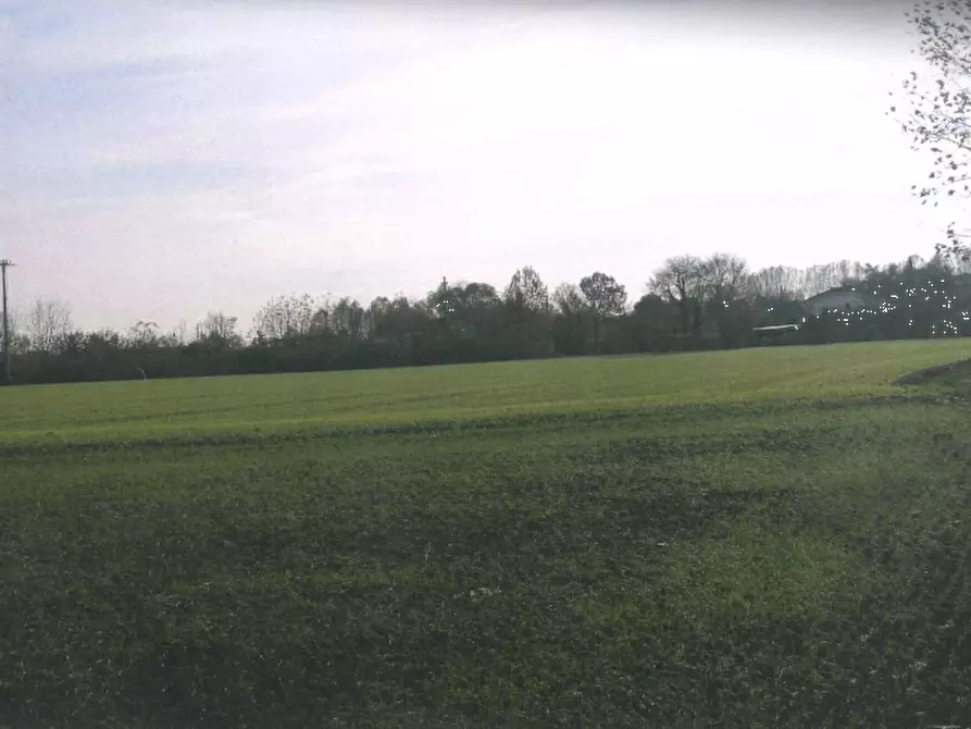 Immagine 1 di Terreno agricolo in vendita  in  via Fontane a Ponzano Veneto