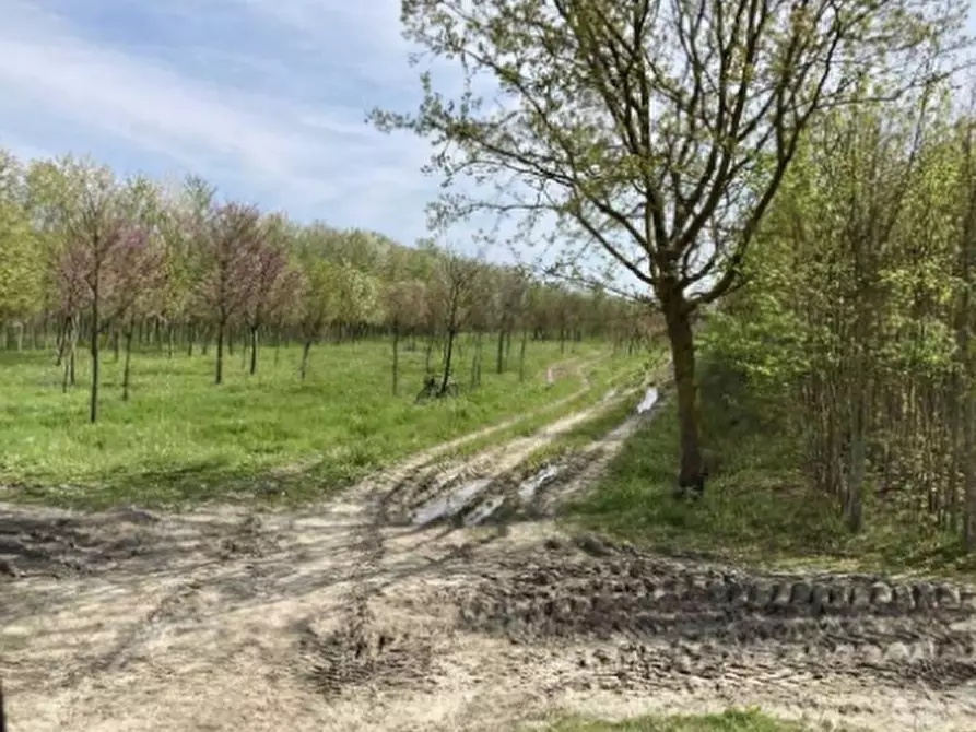 Terreno agricolo in vendita in Strada Portorose a Comacchio