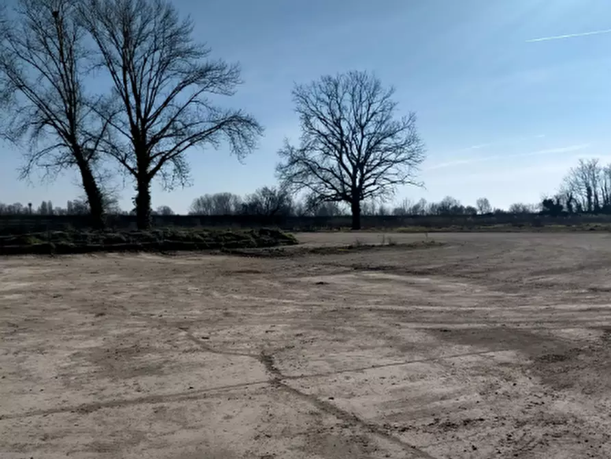 Immagine 1 di Terreno agricolo in vendita  in Strada Statale a Morimondo