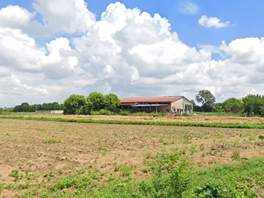 Immagine 1 di Terreno agricolo in vendita  in via Braghetta a Limena