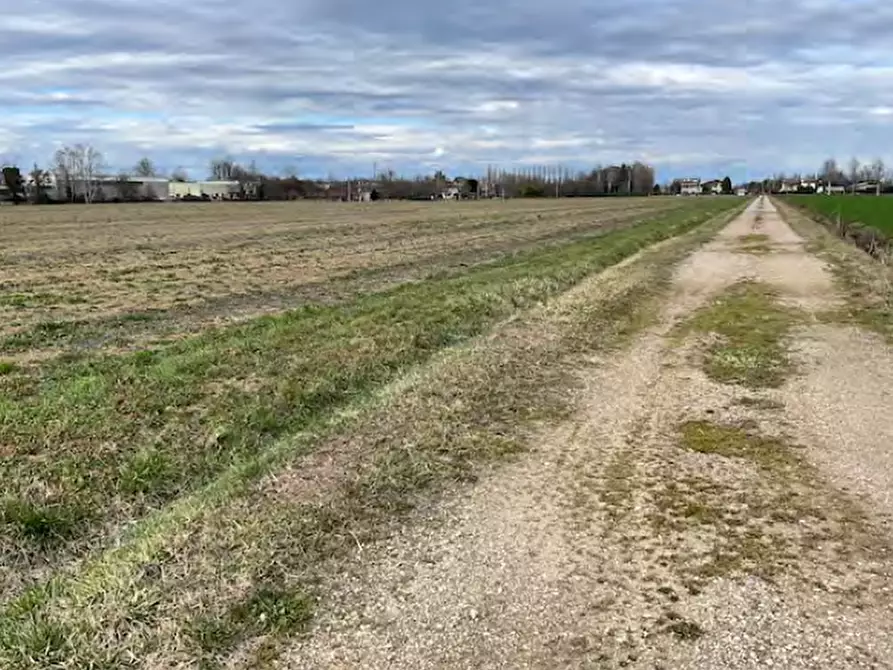 Immagine 1 di Terreno agricolo in vendita  in Via degli Angeli a Casale Sul Sile