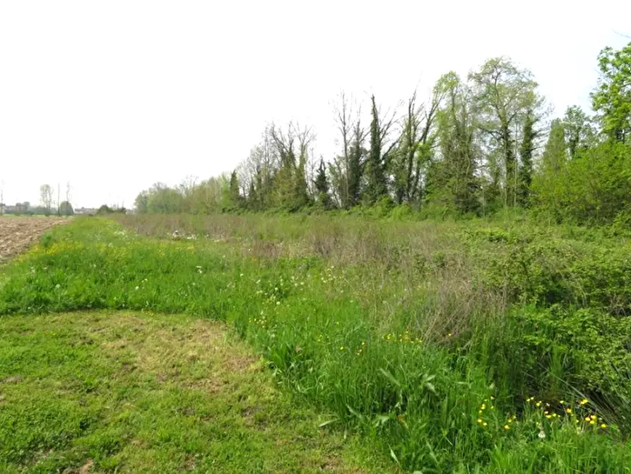 Immagine 1 di Terreno agricolo in vendita  in Via Cavin Caselle a Santa Maria Di Sala