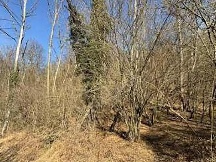 Immagine 1 di Terreno agricolo in vendita  in località Fusinetta a Cassina Valsassina