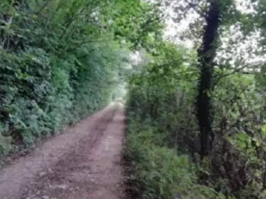 Immagine 1 di Terreno agricolo in vendita  in Via Altura a Salcedo