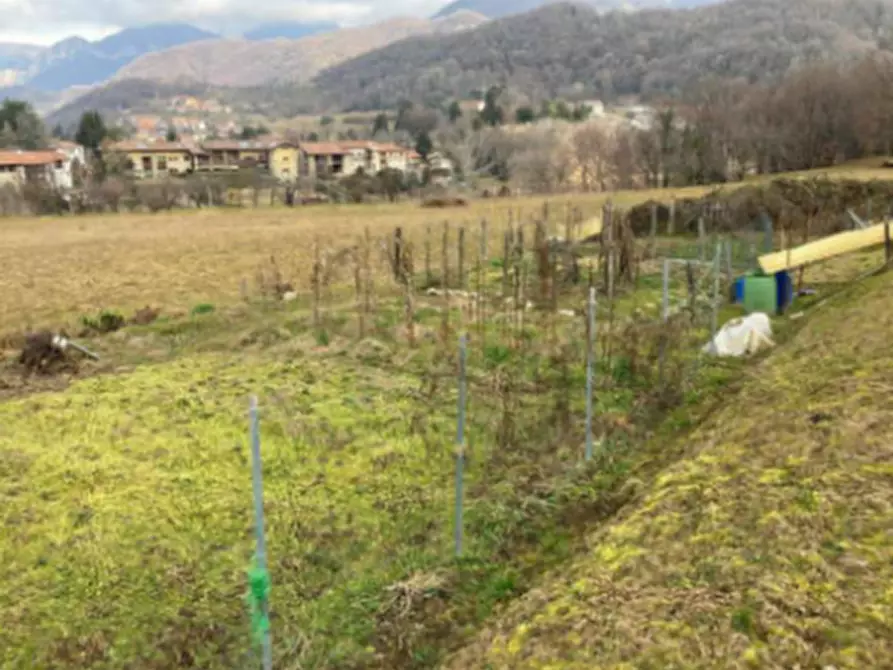 Immagine 1 di Terreno agricolo in vendita  in Via Antonio Stoppani a Monte Marenzo