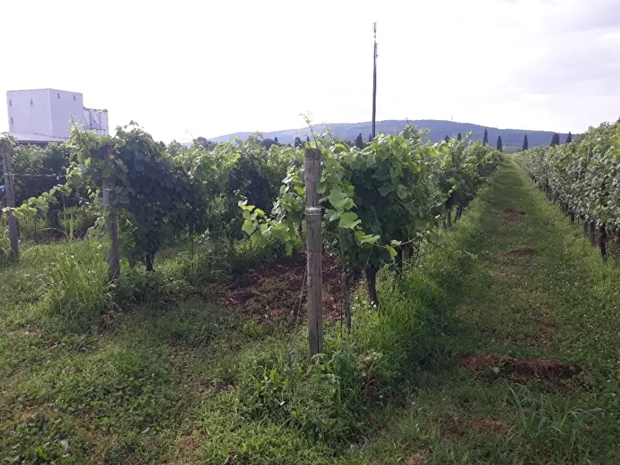 Immagine 1 di Terreno agricolo in vendita  in Via Giuseppe Colombo a Farra D'isonzo