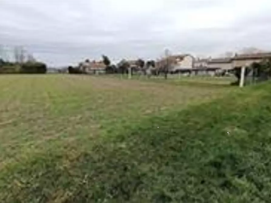 Immagine 1 di Terreno agricolo in vendita  in Via Udine a San Vito Al Torre