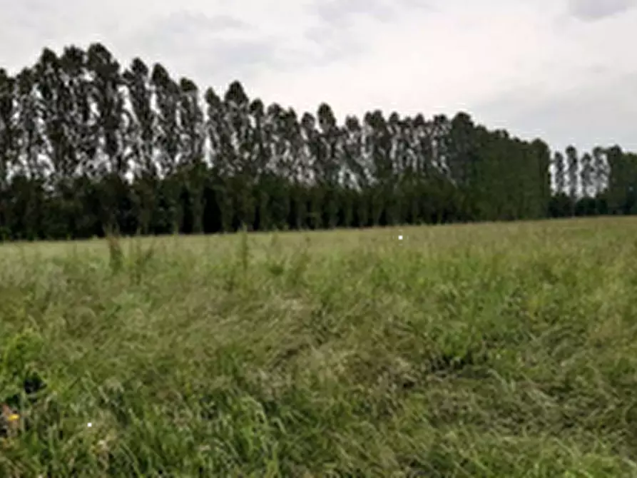 Immagine 1 di Terreno agricolo in vendita  in Via Cortellazzo a Mogliano Veneto