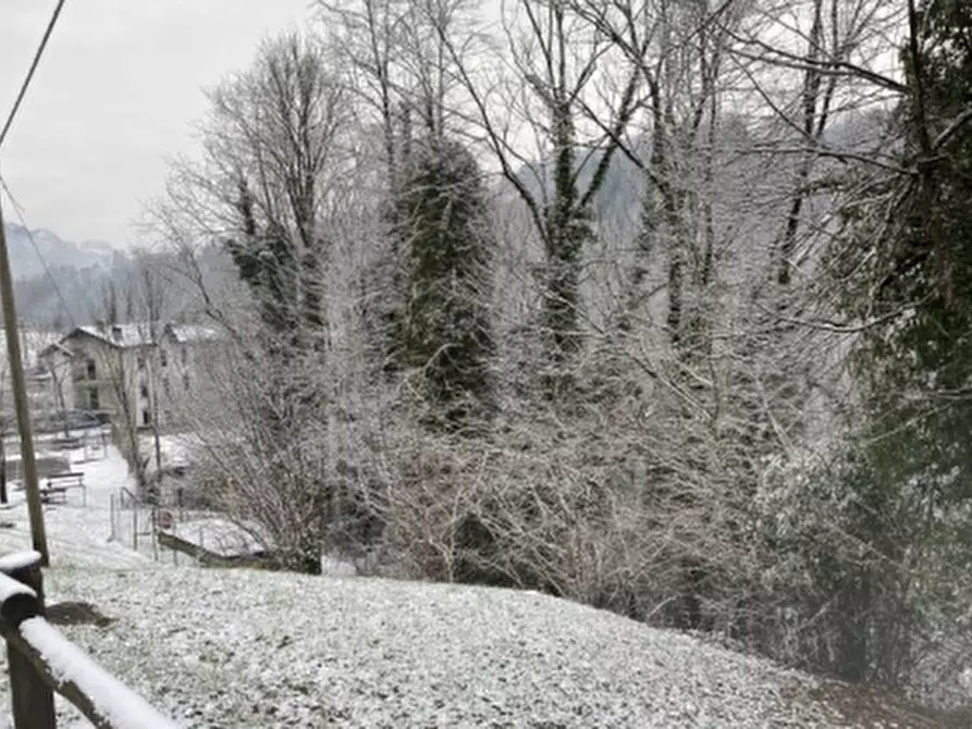 Immagine 1 di Terreno agricolo in vendita  in Località Sottochiesa a Taleggio