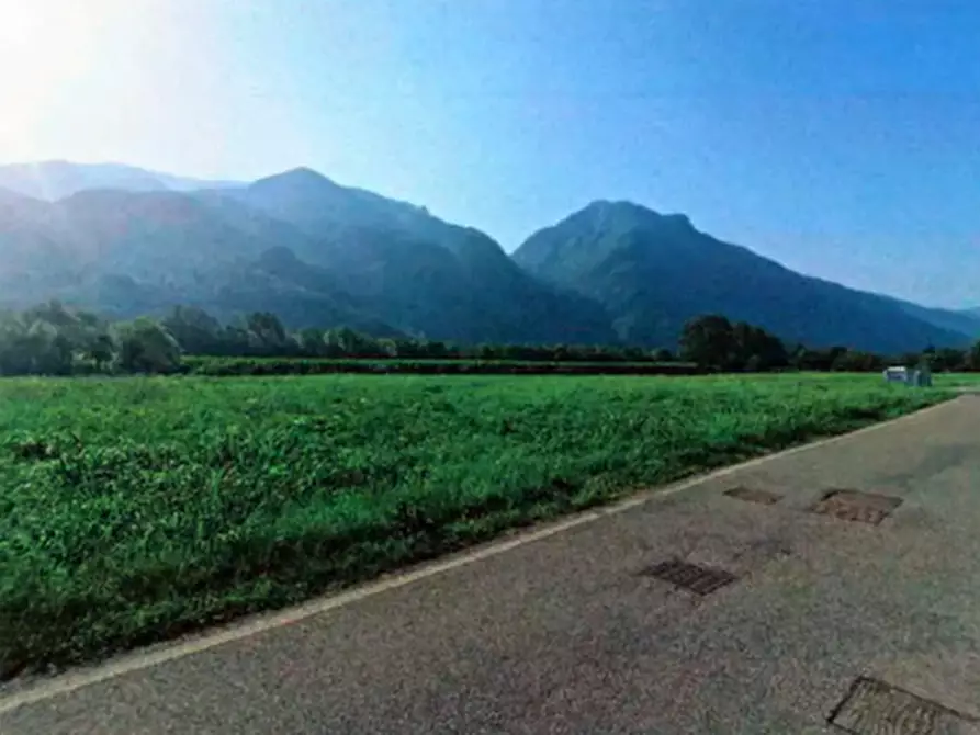 Immagine 1 di Terreno agricolo in vendita  in Via Conti a Piancogno