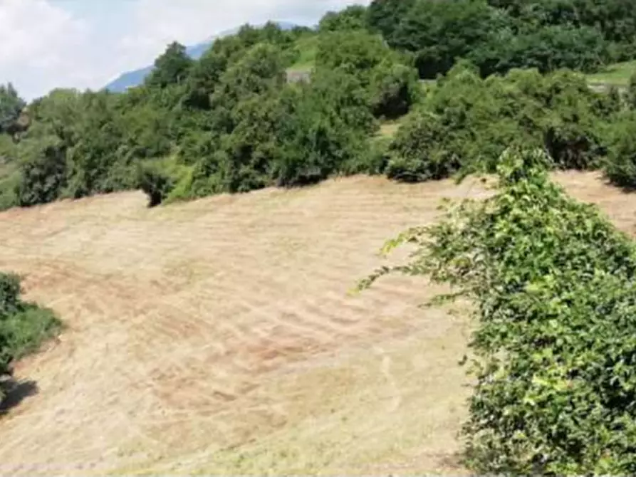 Immagine 1 di Terreno agricolo in vendita  in Via Poletti snc a Fara Vicentino