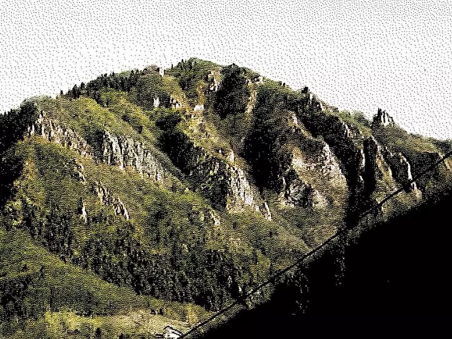 Immagine 1 di Terreno agricolo in vendita  in località Castelar a Seren Del Grappa