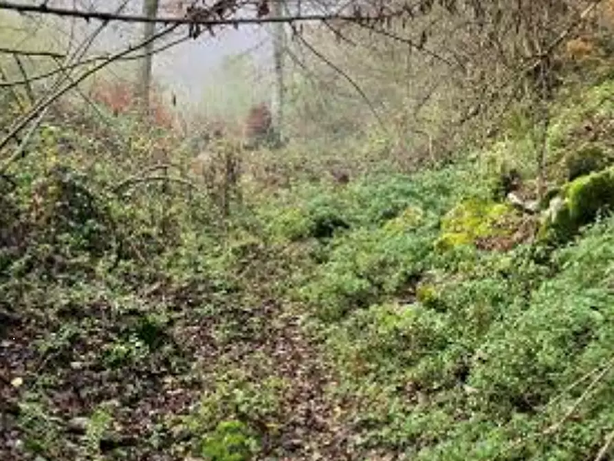 Immagine 1 di Terreno agricolo in vendita  in Località Rubbio a Bassano Del Grappa