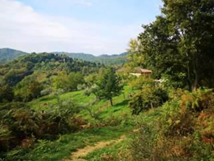 Immagine 1 di Terreno agricolo in vendita  in Localita' Villanecchio a Barberino Di Mugello