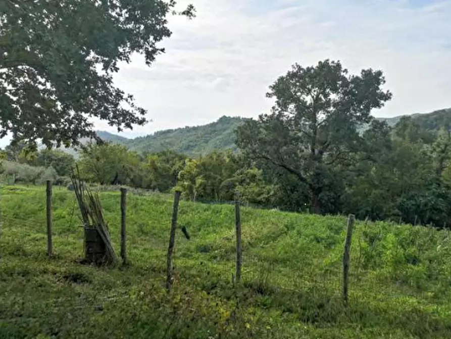 Immagine 1 di Terreno agricolo in vendita  in Via di Vezzana a Barberino Di Mugello