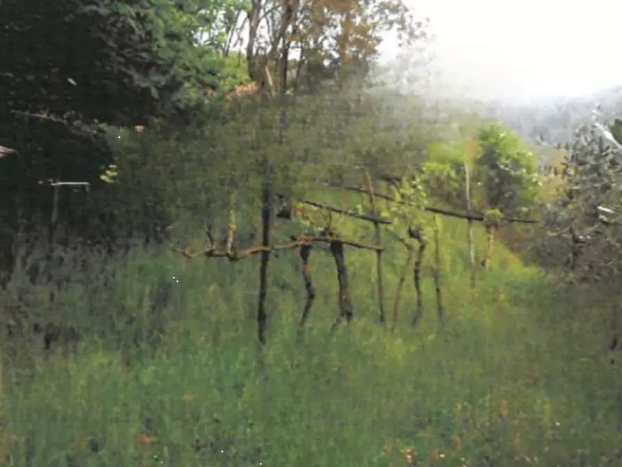 Immagine 1 di Terreno agricolo in vendita  in Frazione di Serniana a Provaglio D'iseo