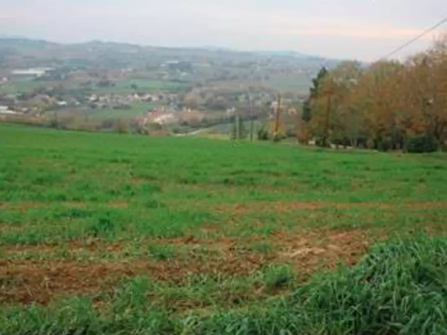 Immagine 1 di Terreno agricolo in vendita  in Via delle Caminate a Forli'