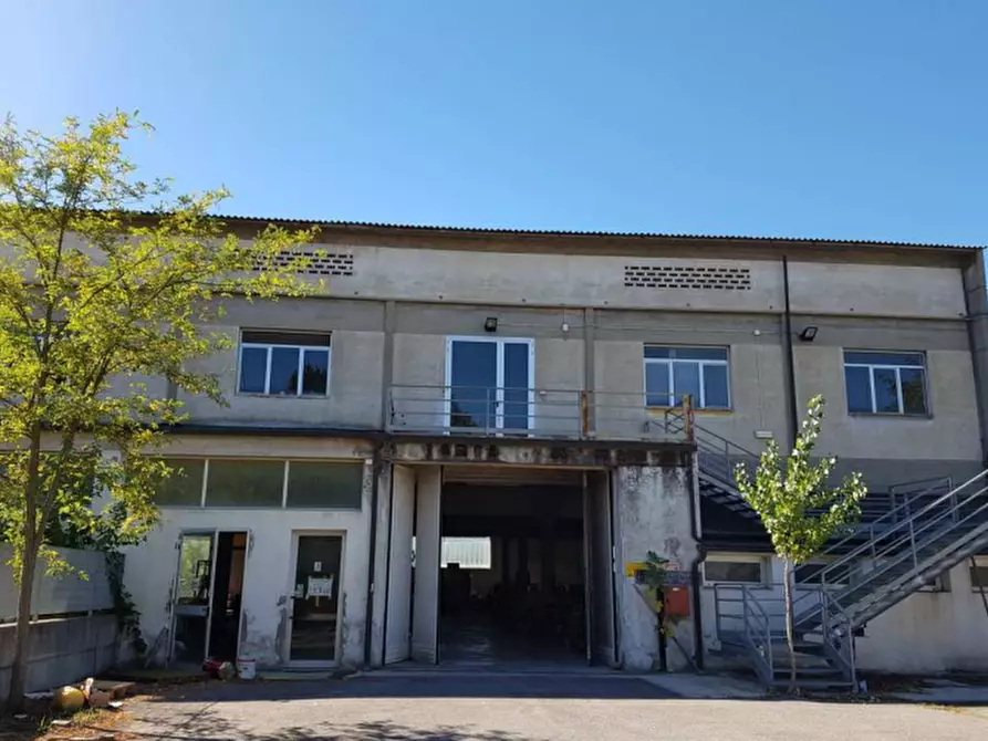 Immagine 1 di Capannone industriale in vendita  in Via delle Città a Certaldo