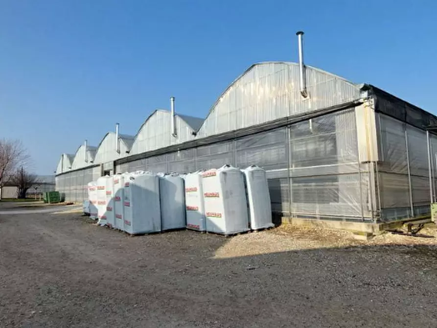 Immagine 1 di Azienda agricola in vendita  in Via 11 Settembre a Pradamano