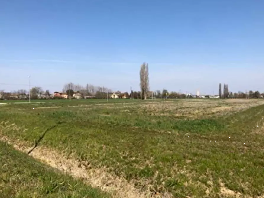 Immagine 1 di Terreno agricolo in vendita  in Via Marcora a Pianiga