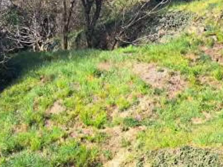 Immagine 1 di Terreno agricolo in vendita  in Frazione Volpera a Mapello