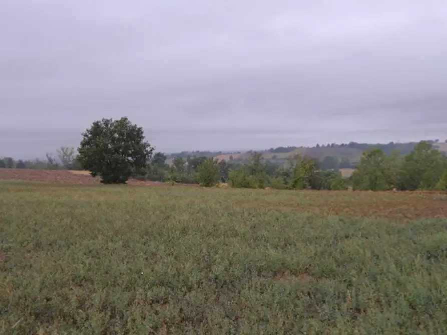 Immagine 1 di Terreno edificabile in vendita  a Alessandria