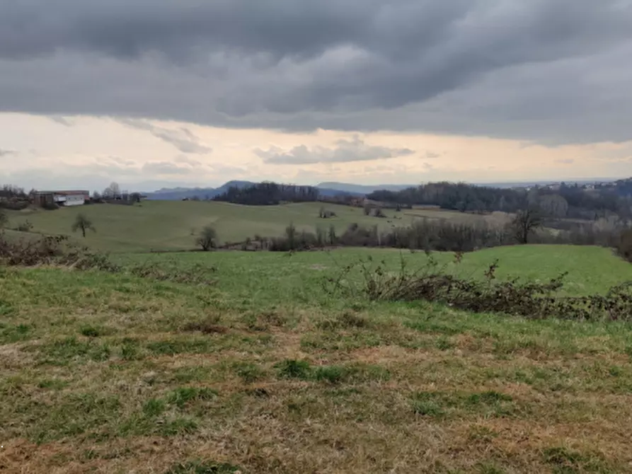 Immagine 1 di Terreno agricolo in vendita  in Località Sant'Agata Fossili a Sant'agata Fossili