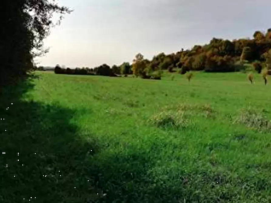 Immagine 1 di Terreno agricolo in vendita  in Via Borgo Santa Maria a Fara Vicentino