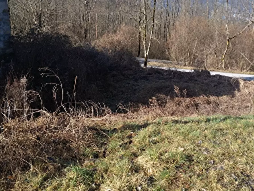 Immagine 1 di Terreno agricolo in vendita  in Loc. Case Piazza a Alpago