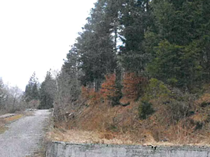 Immagine 1 di Terreno edificabile in vendita  in Via Romana  a Tarvisio