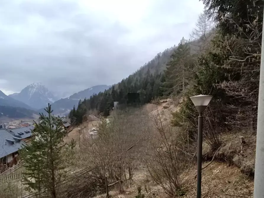 Immagine 1 di Terreno edificabile in vendita  in Via Romana a Tarvisio