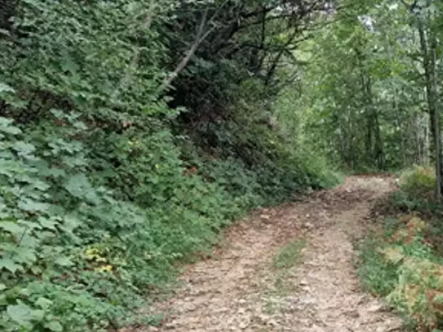 Immagine 1 di Terreno agricolo in vendita  in Località Nimis a Nimis